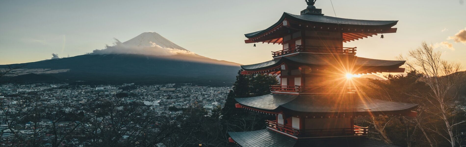 ALINORO imports and sells foreign products not yet introduced to the Japanese market.